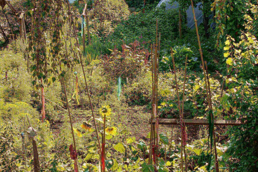 garten mit blühenden Blumen