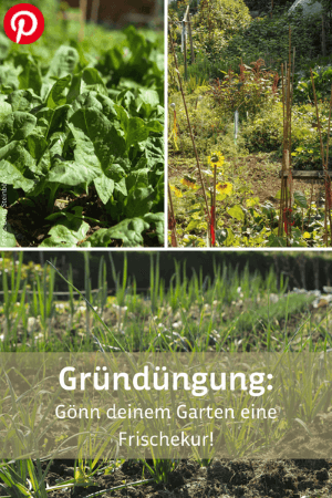 Beete und Gründüngung