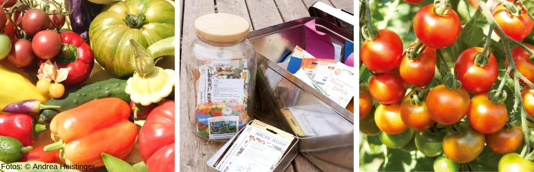 Saatgut richtig einlagern: So geht's! | Löwenzahn Verlag