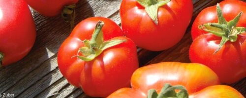 Tomaten am Tisch