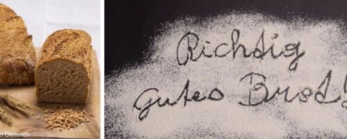 Dinkelbrot und Schriftzug "Richtig gutes Brot"