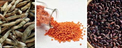 Erbsen, Linsen und Bohnen