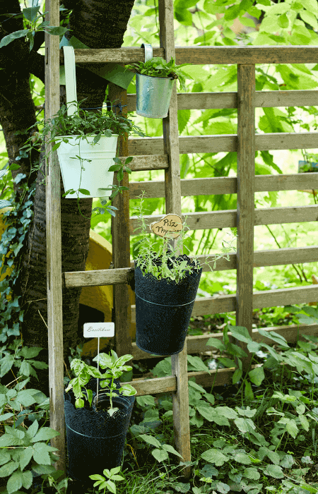 Kräuterleiter im Garten