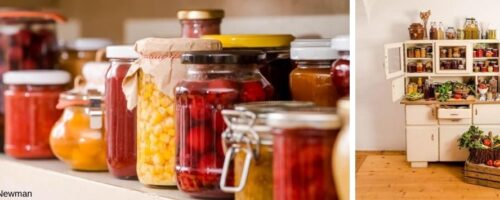 Vorratsschrank mit haltbar gemachtem Obst und Gemüse