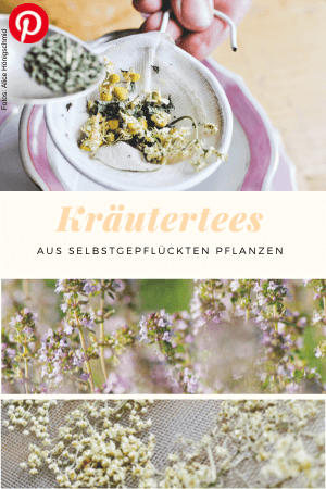 Kräutertees aus selbstgepflückten Pflanzen