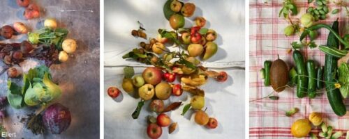 verschiedenes Obst und Gemüse