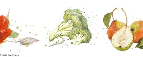 Illustrationen von Obst und Gemüse