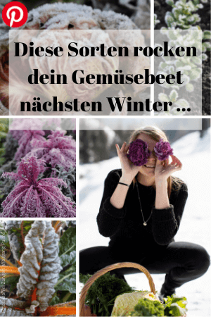 Gesundes Wintergemüse