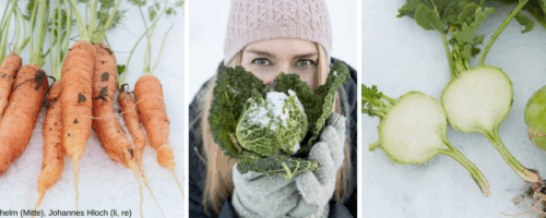Frostig, knackig und voller Vitamine: Wintergemüse