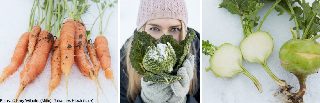 Frostig, knackig und voller Vitamine: Wintergemüse