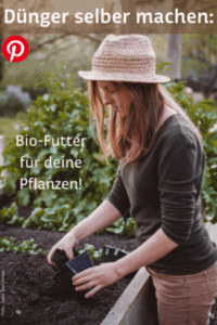Dünger selber machen So geht’s Löwenzahn