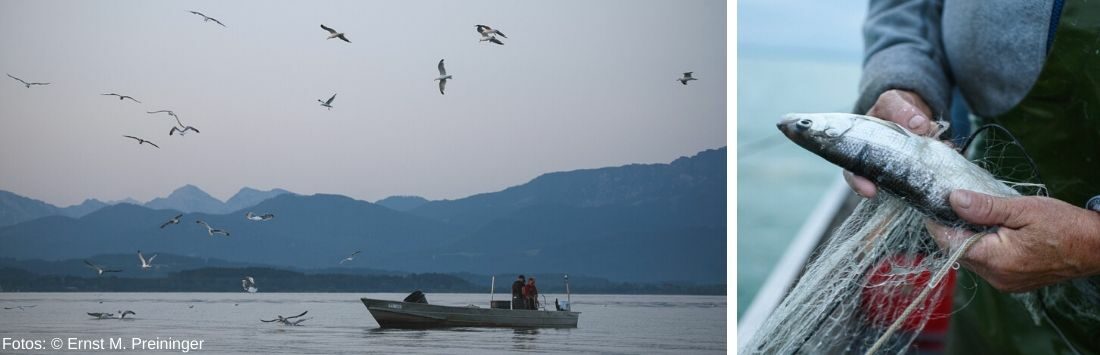 Boot am See und frisch gefangener Fisch