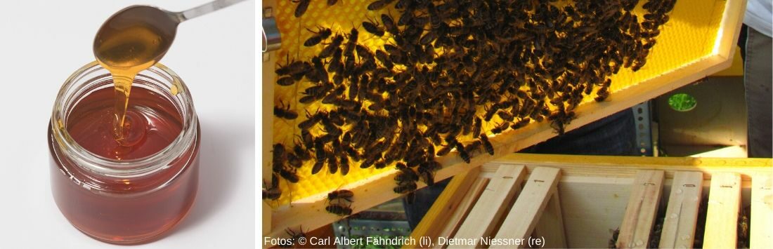 Honig im Glas und Bienenstock