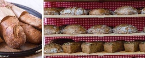 Frische Brote