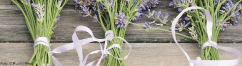 Lavendel auf einem Tisch