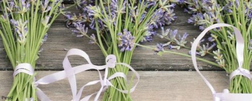 Lavendel auf einem Tisch