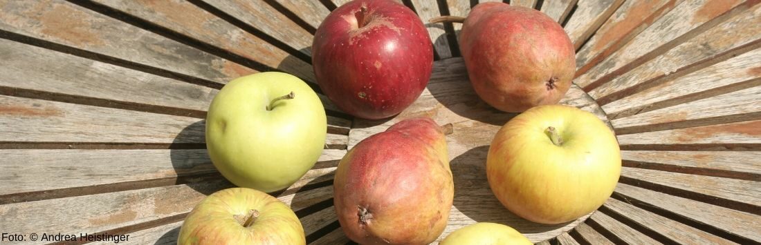 Äpfel und Birnen auf einem Tisch