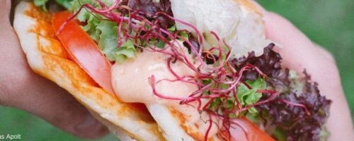 Sandwich