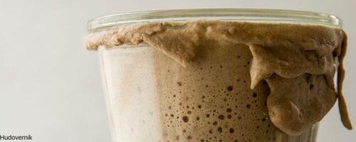 Sauerteig in Glas