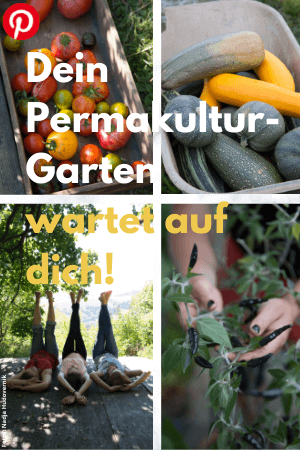 Dein Permakultur-Garten wartet auf dich!