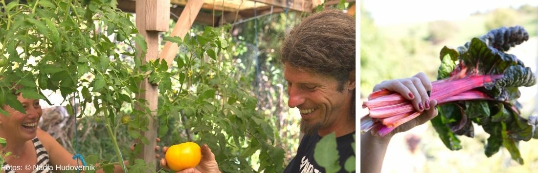 Sigrid Drage mit ihrem Mann im Garten und geernteter Rhabarber