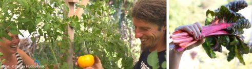 Sigrid Drage mit ihrem Mann im Garten und geernteter Rhabarber