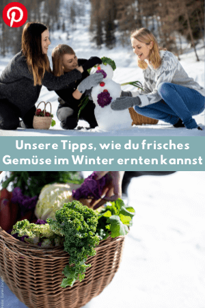 Unsere Tipps, wie du frisches Gemüse im Winter ernten kannst