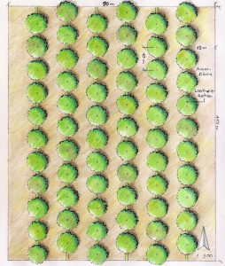 Beispielplan für Agroforstwirtschaft