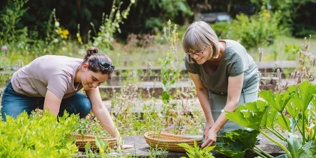 Zwei Frauen bei der Ernte