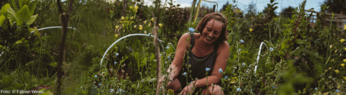 Frau will Bienenweide anlegen