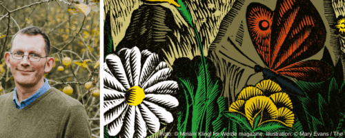 Bild von Mann neben bunter Illustration