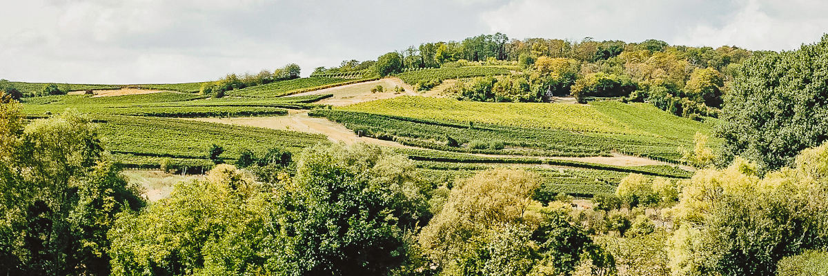 Permakultur in der Landwirtschaft