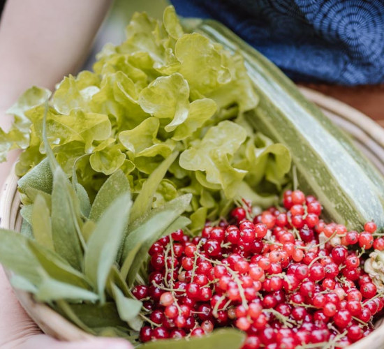 Korb mit Gemüse und Obst.