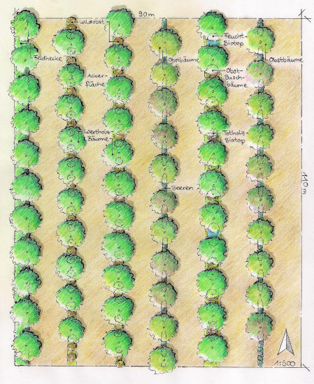 Plan Permakultur Landwirschaft reihenförmig angeordnet