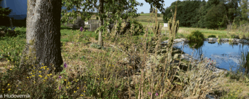Permakultur Landwirtschaft
