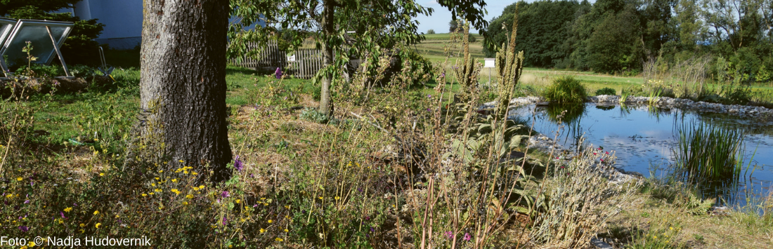 Permakultur Landwirtschaft