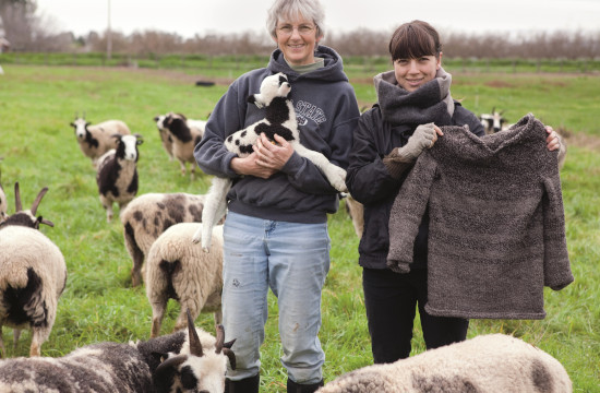 Zwei Frauen mitten in Schafherde mit Slow-Fashion-Pullover
