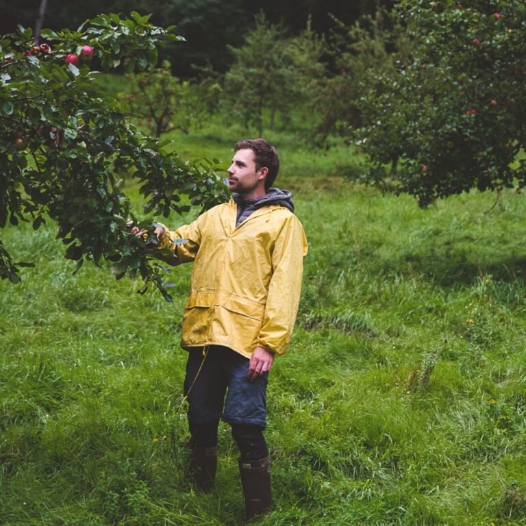 Bücher rund ums nachhaltig leben Löwenzahn Verlag