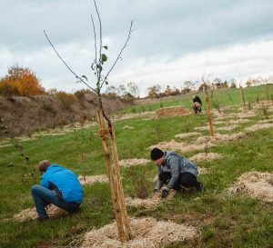 Menschen, die auf einem Feld arbeiten