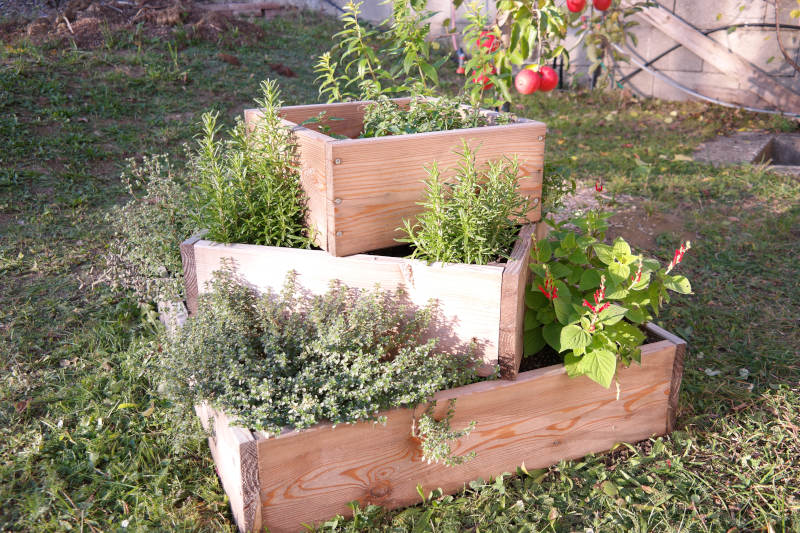 Kräutergarten am Balkon