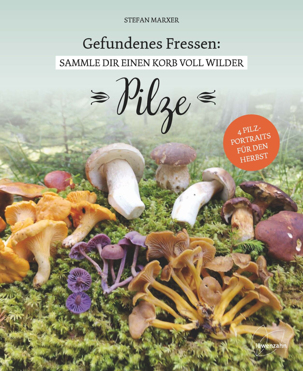 Pilze einfrieren Eiszeit für Steinpilz und Co.! Löwenzahn