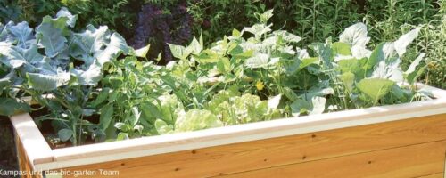 Hochbeet im Garten