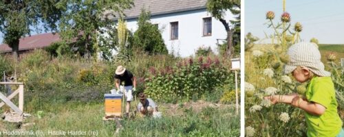 Naturgärten mit Erwachsenem und Kind