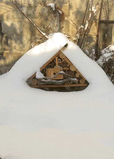 Bienenhotel im Wildgarten anlegen