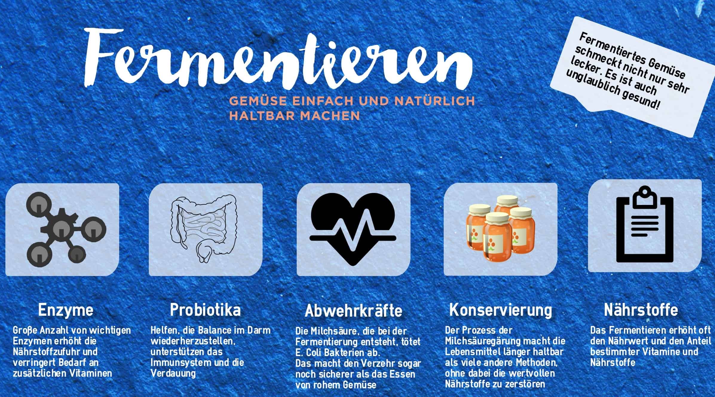 Fermentieren Infografik