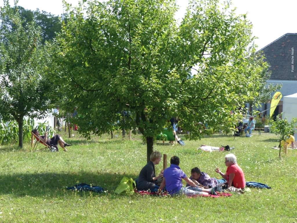 Von der Versorgung mit Obst bis zur Erholung erfüllt ein Obstgarten viele Funktionen. Foto: Arche Noah