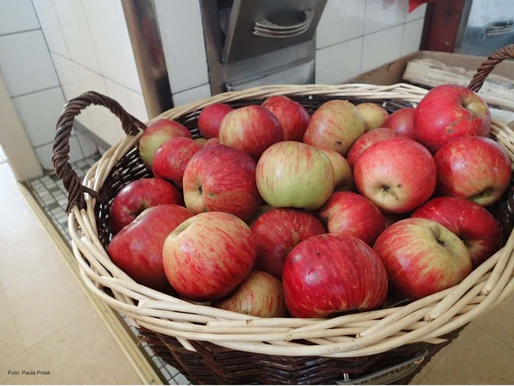 Obstbäume auf dem Balkon richtig gießen Löwenzahn Verlag