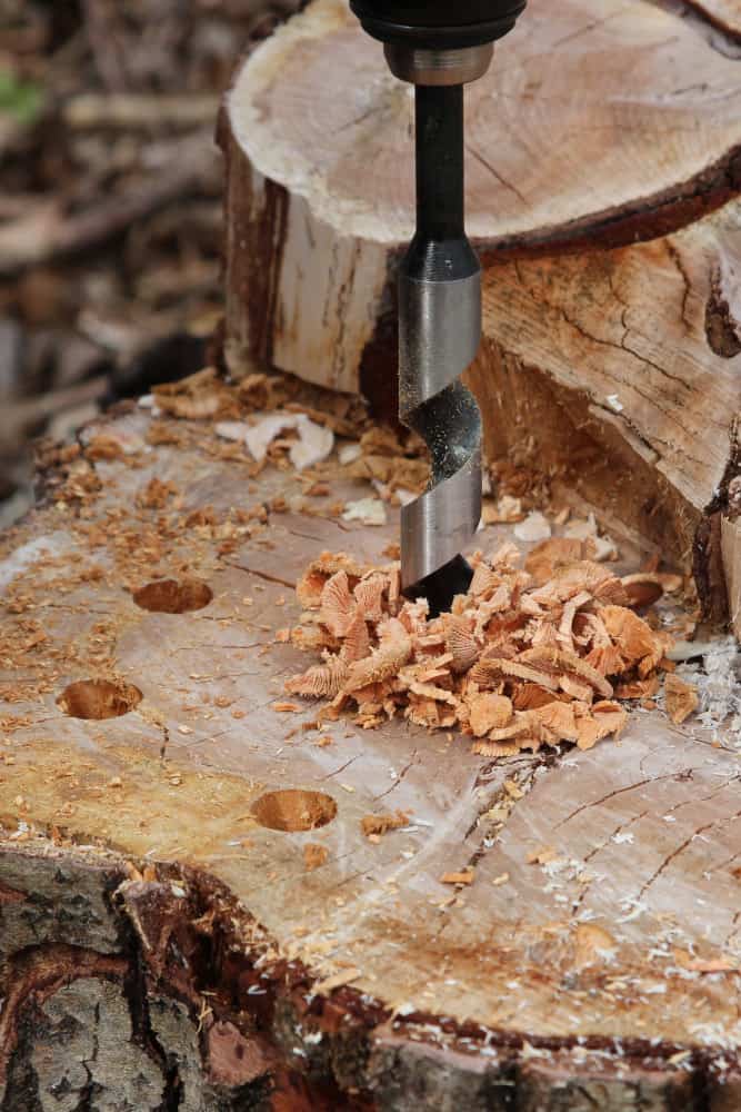 Löcher in das Holz bohren