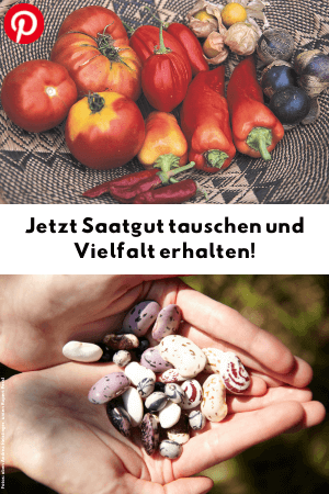 Jetzt Saatgut tauschen und Vielfalt erhalten!