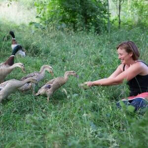 permakultur tiere enten